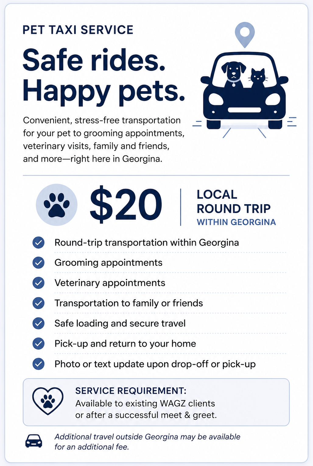 Pet Taxi Service flyer